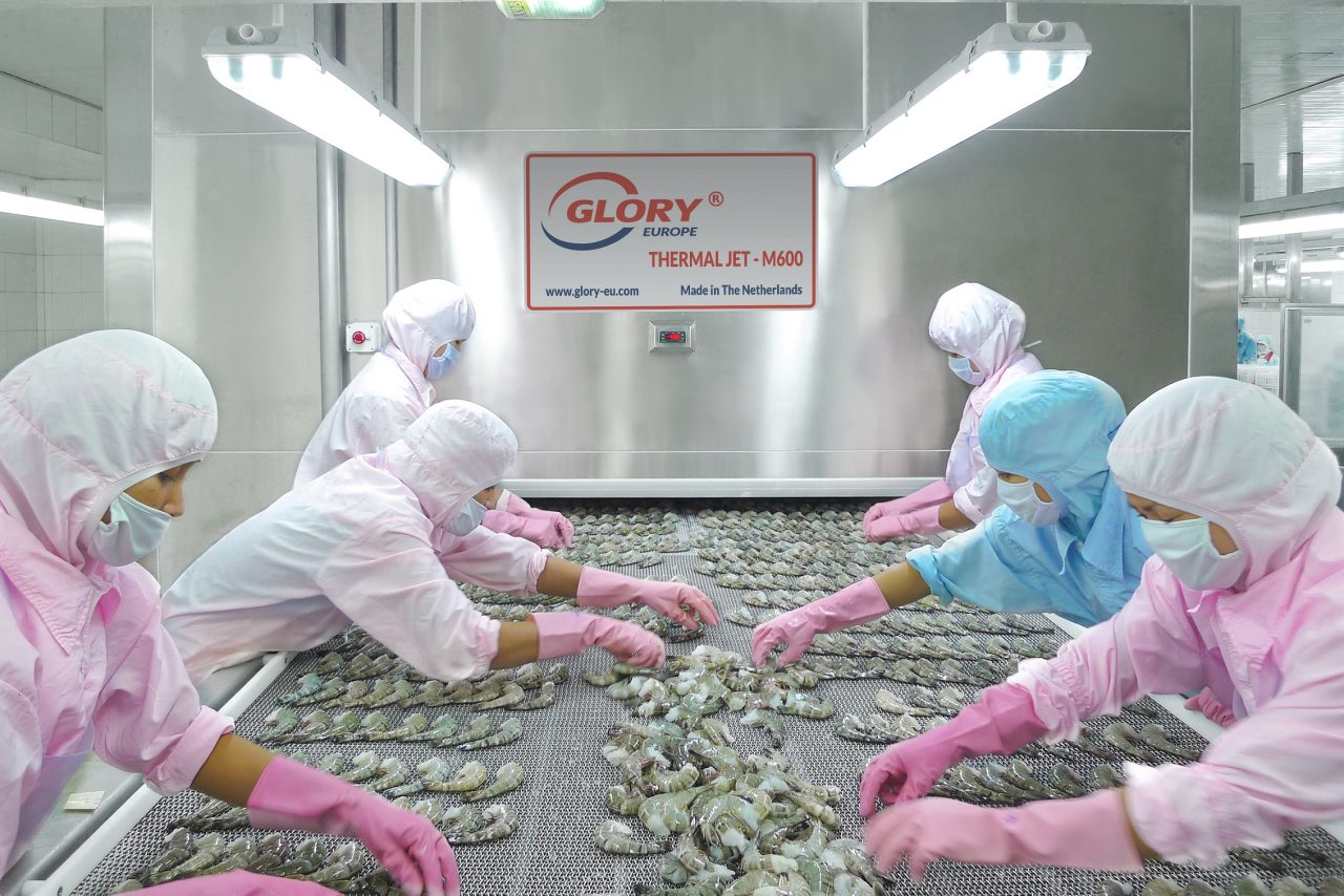 Workers arranging shrimp on an IQF freezer belt
